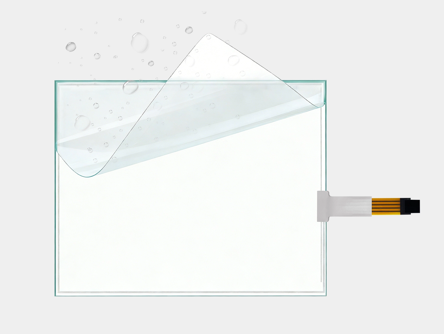  Funzione e struttura 