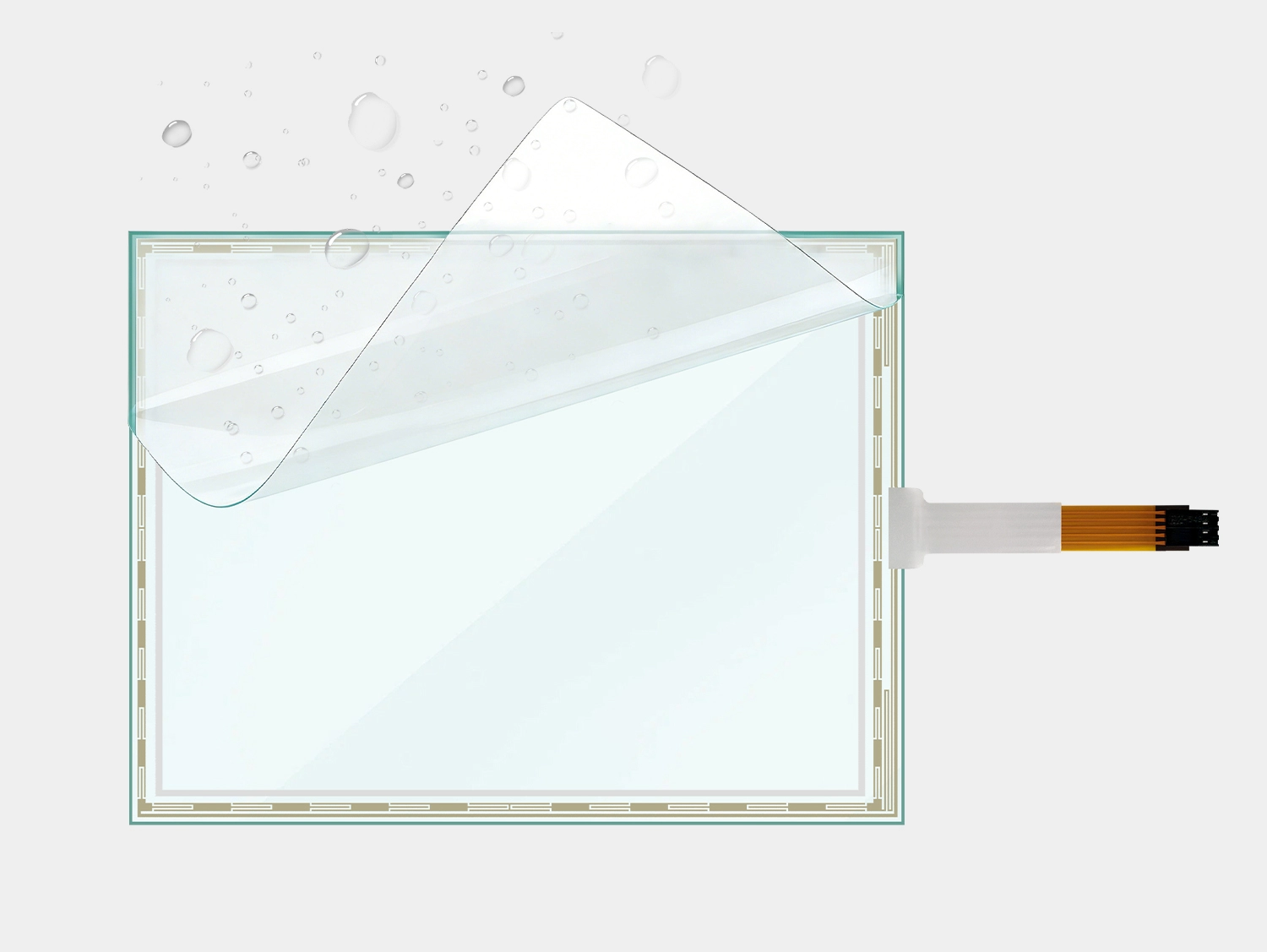  Funzione e struttura 