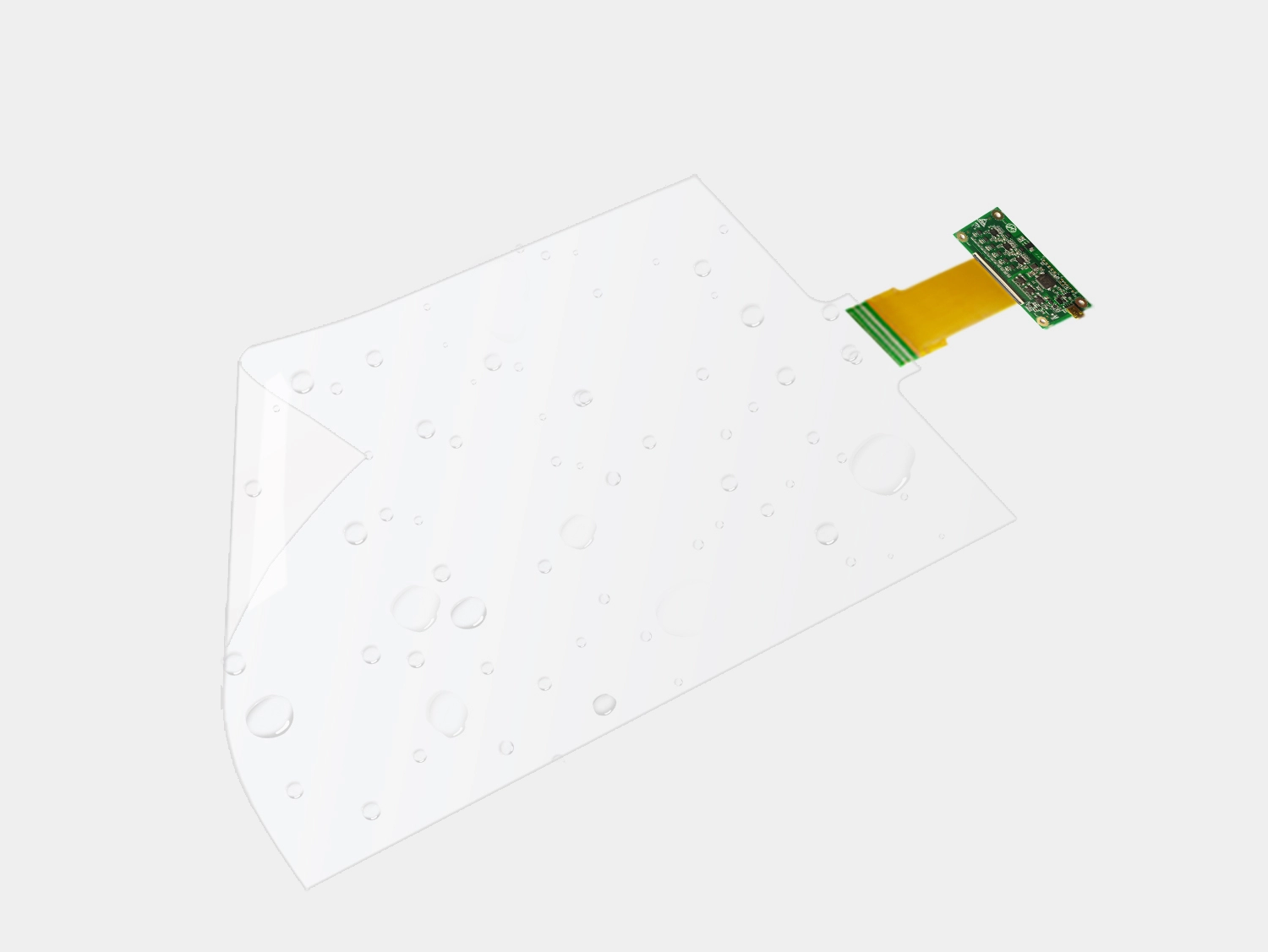  Funzione e struttura 