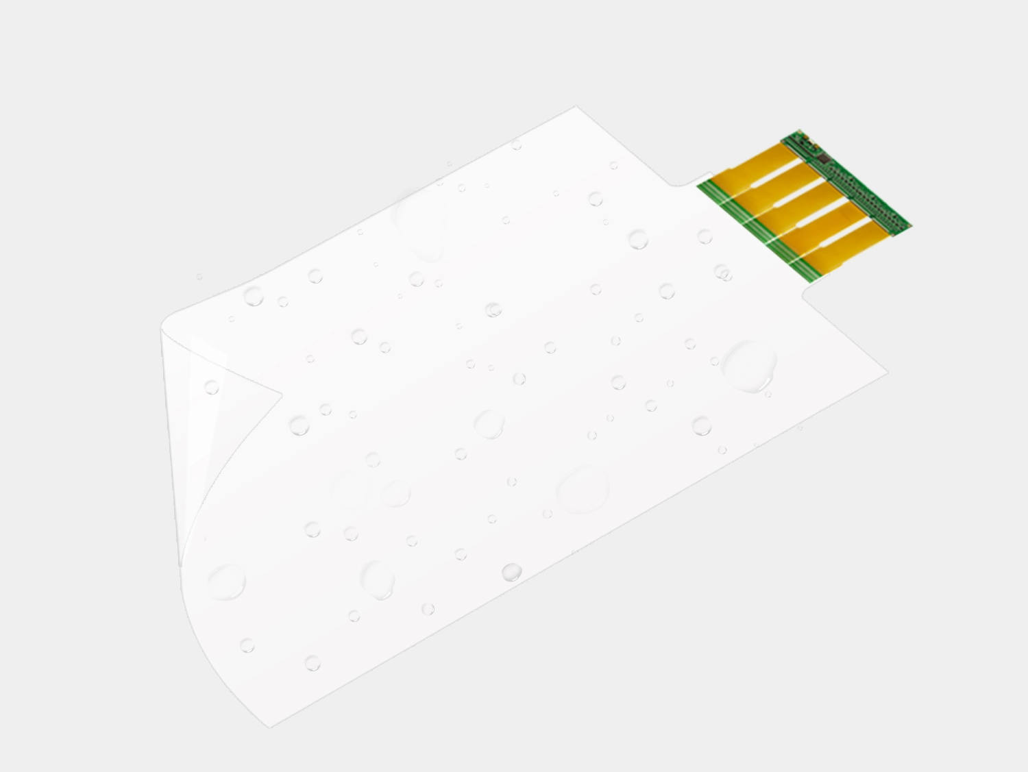  Funzione e struttura 